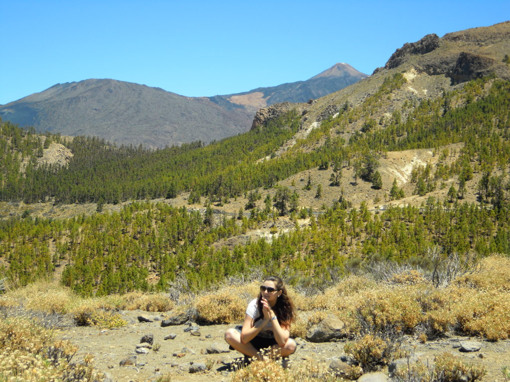 Národní park El Teide, v pozadí se tyčí sopka Pico del Teide