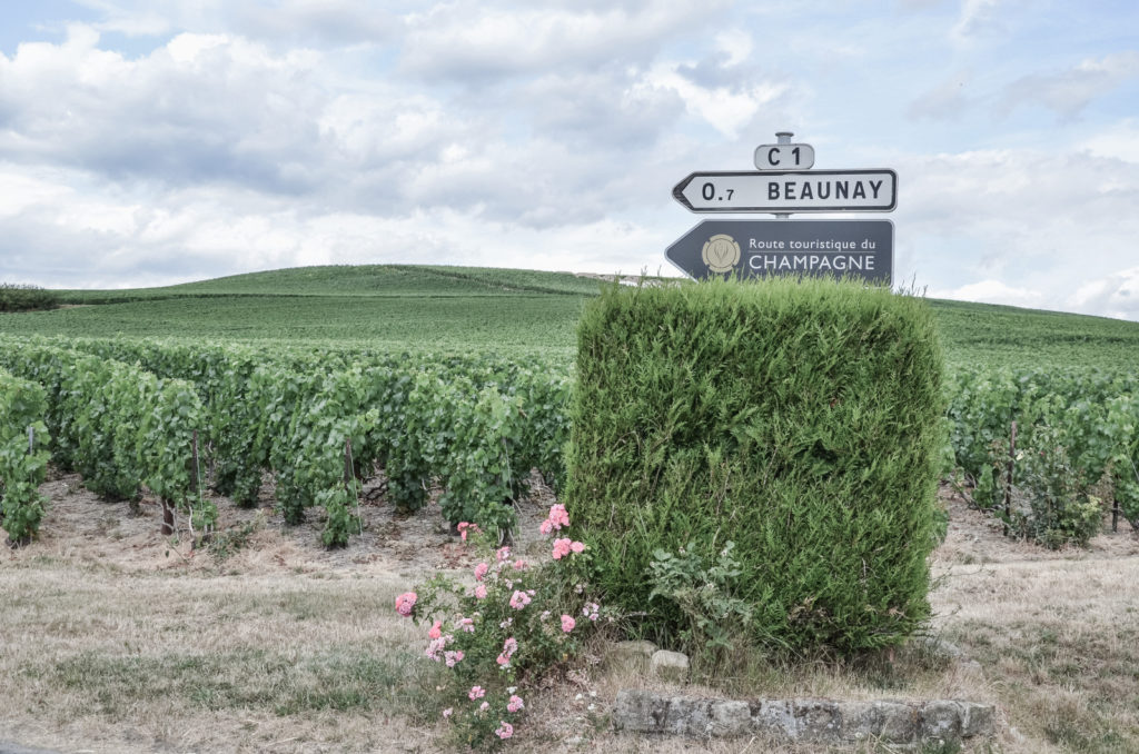 O tom, jaký byl náš výlet do Champagne - tentokrát do oblasti Côte des Blancs s návštěvou města Épernay a za zkroucenými stromy do Faux de Verzy.