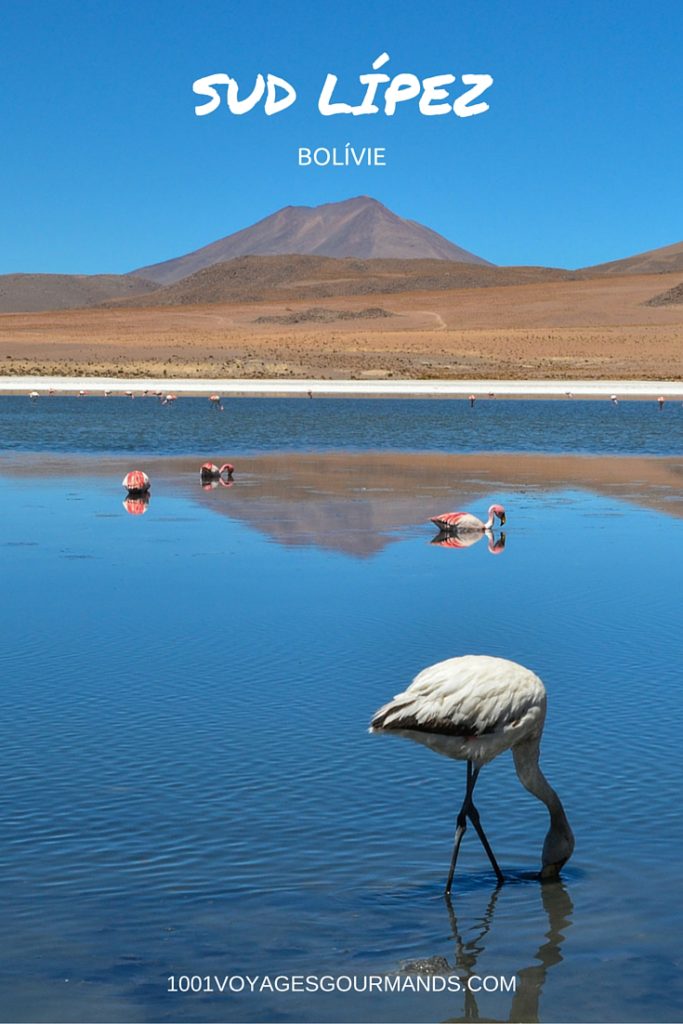 Na jihu Bolívie najdete Sud-Lípez, jednu z nejkrásnějších Andských krajin s barevnými lagunami s plameňáky, vulkány a gejzíry, či surrealistickou pouští.