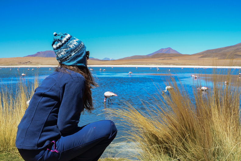 Na jihu Bolívie najdete Sud-Lípez, jednu z nejkrásnějších Andských krajin s barevnými lagunami s plameňáky, vulkány a gejzíry, či surrealistickou pouští.
