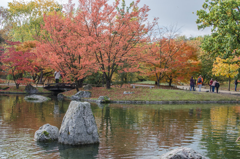 Do you know that Belgium hosts the largest Japanese garden in Europe? It is the Japanese garden of Hasselt, in the Flemish province of Limburg.