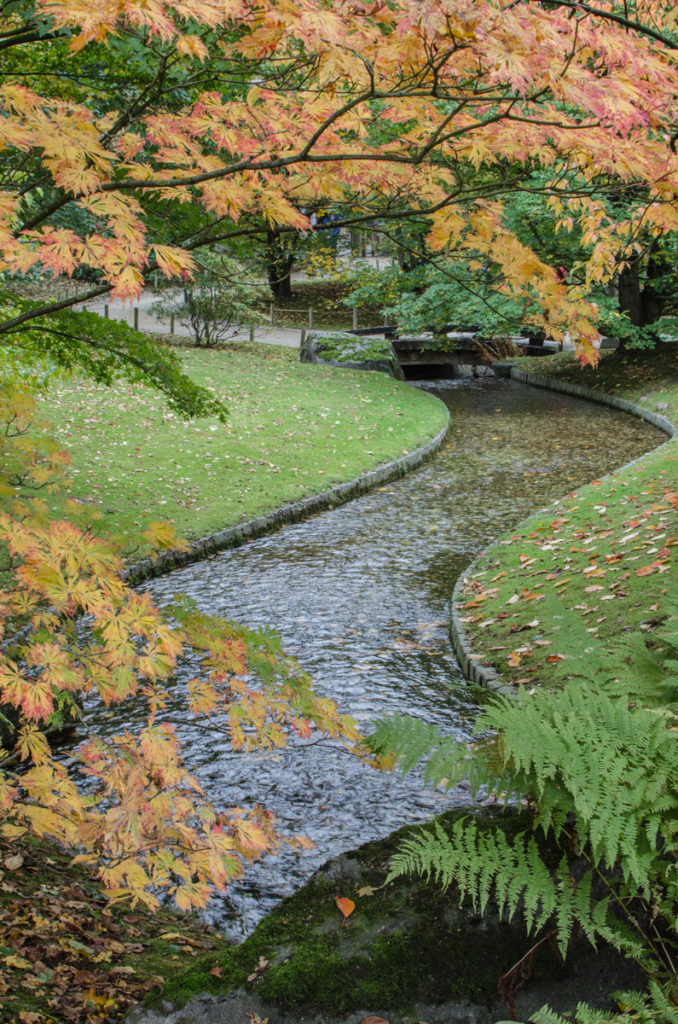 Do you know that Belgium hosts the largest Japanese garden in Europe? It is the Japanese garden of Hasselt, in the Flemish province of Limburg.