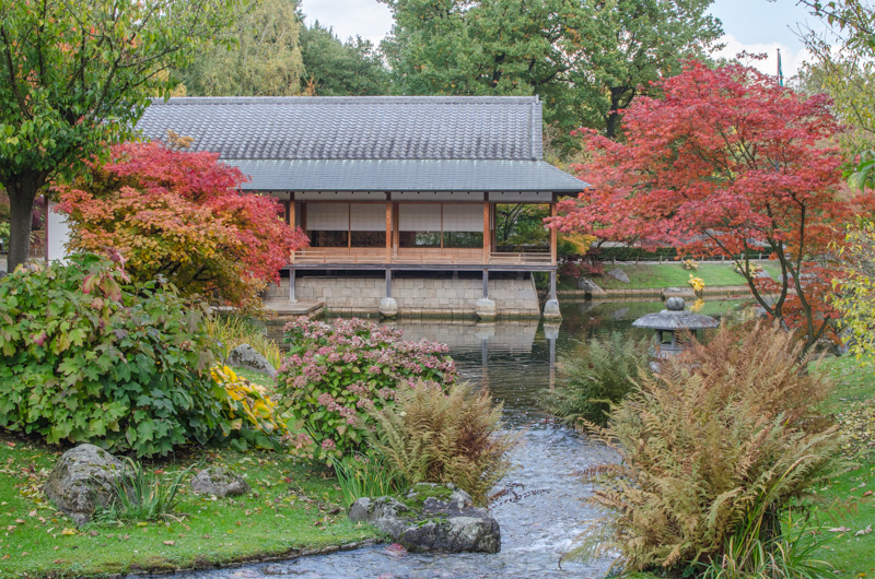 Což takhle na chvilkou zapomenout, že jsme ve staré známé Belgii a probudit v sobě podzmní radost uprostřed Japonské zahrady za krásného podzimního dne?