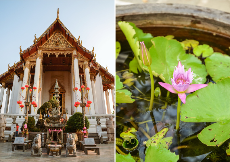 Bangkok je krásné město, kde najdete několik set buddhistických chrámů a v tomto článku se dozvíte, jakých 5 chrámů v Bangkoku si nesmíte nechat ujít.