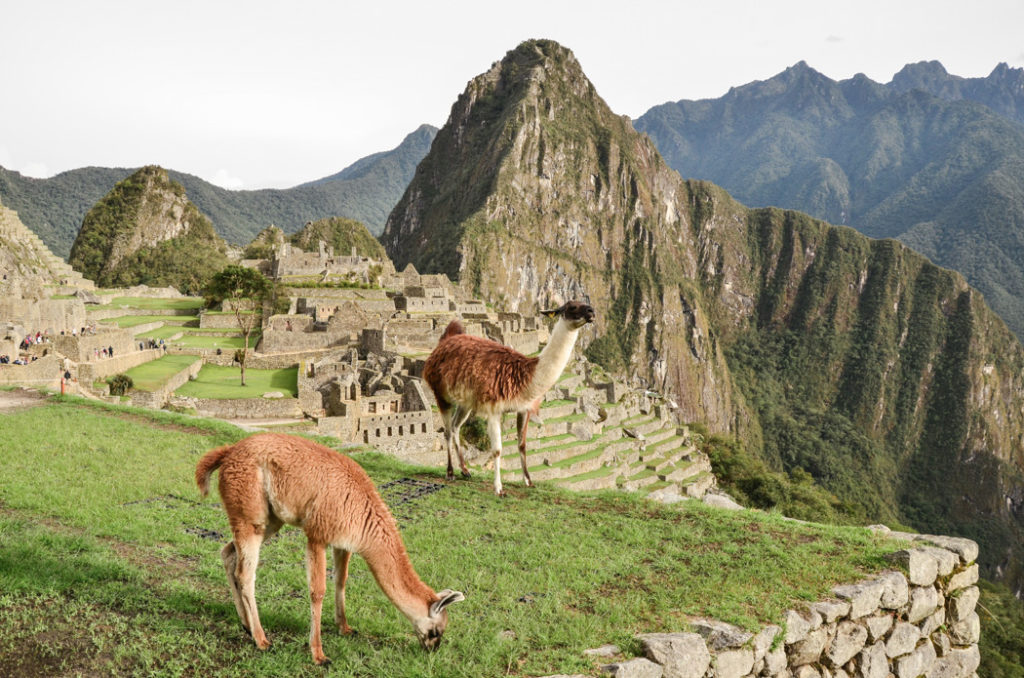 After we visited the sacred place, I decided to devote one single post to some important facts what you must know before you go to Machu Picchu.