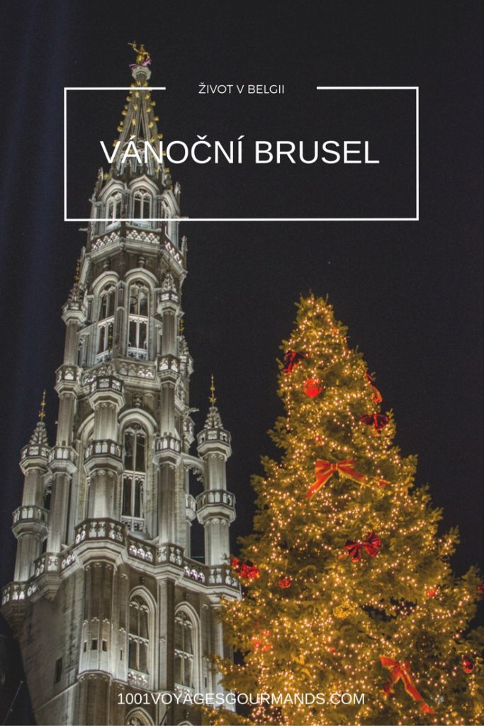 Pokud se vám bude chtít vyrazit na vánoční trhy jinam než do Drážďan či do Vídně, zkuste třeba vánoční Brusel. Místní trhy patří k těm nejhezčím v Evropě.