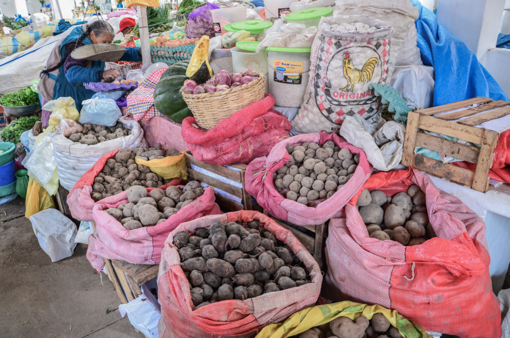 Cuzco je krásné město, které si v Peru nesmíte nechat ujít! V tomto článku vám povím, co se dá vidět ve městě Cuzco a okolí - včetně inckých ruin.