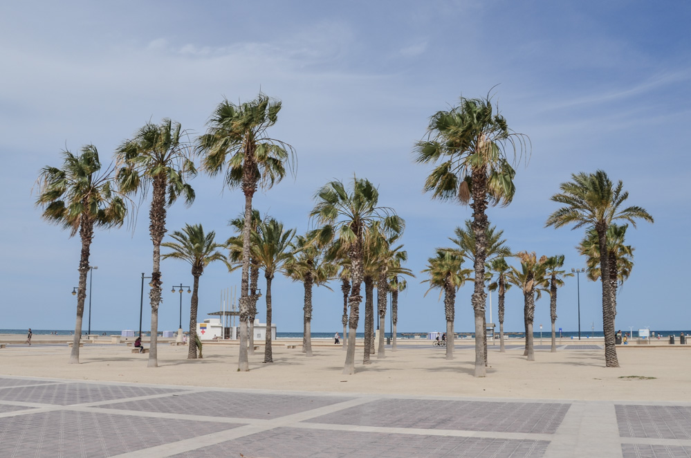 Last year I had the pleasure to visit the third largest Spanish city and the capital of paella. Today I share with you things to see and do in Valencia.