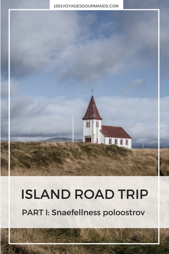 Spolu s bratrancem jsme v řijnu podnikli výlet na Island. Tady je první díl našeho road tripu včetně praktických tipů, itineráře na první tři dny a fotek.
