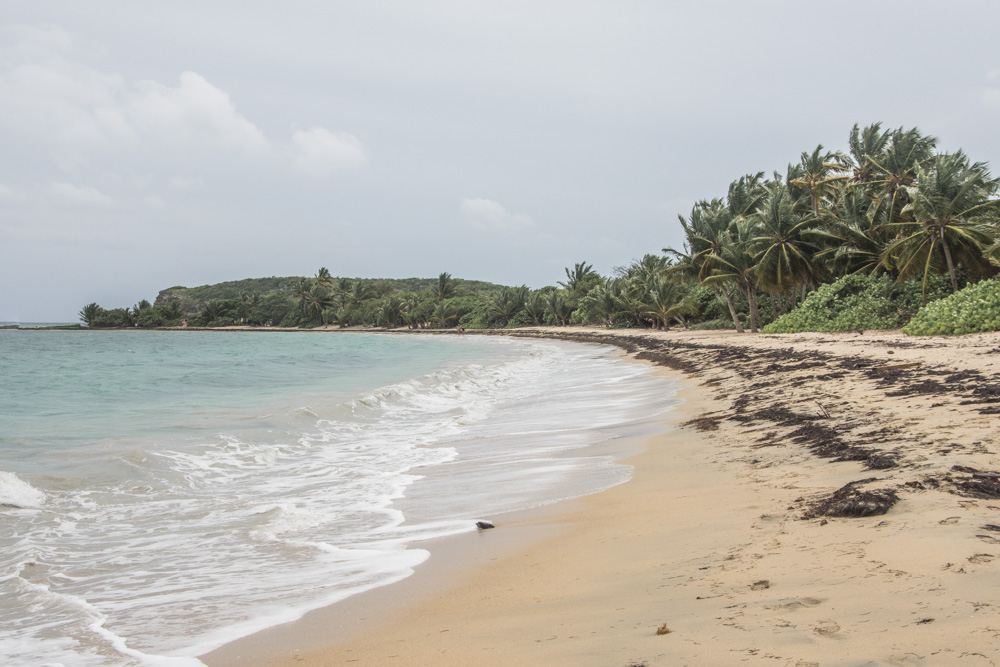 If you want to escape the mainland of Puerto Rico and enjoy some rest on calm and wild beaches, meet wild horses, do kayaking in the brightest bioluminescent bay in the world, then you may find your happiness on Vieques Island! Here are some practical and beach tips.