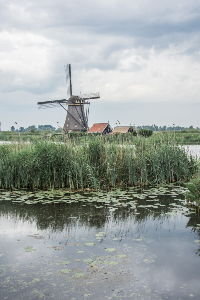 Here is how we enjoyed our day trip to the windmills of Kinderdijk and Dordrecht and maybe who knows, if you are in Holland you can visit it too!