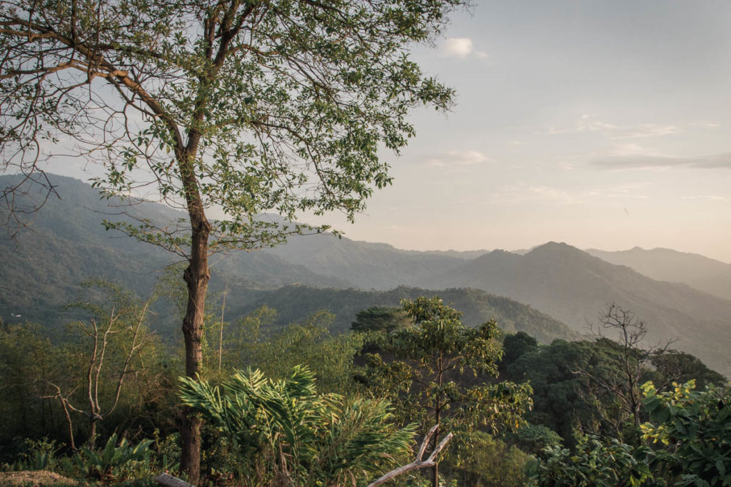 Minca v Kolumbii ukrývá organickou kakaovou a kávovou farmu s ubytováním, kde na vás kromě čokolády a kakaa čeká i domestikovaný tukan! Jaký byl náš pobyt?