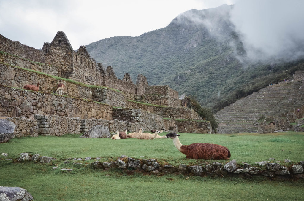 Machu Picchu je národní hrdostí Peru a není divu. Během svých dob šlo o důležité kulturní, politické a náboženské centrum Incké říše. 