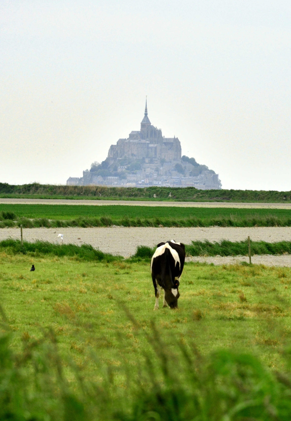 Le Mont Saint Michel je jedno z nejkrásnějších a nejnavštěvovanějších míst ve Francii, nacházející se mezi Bretaní a Normandií.