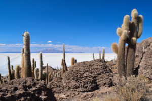 Salar de Uyuni is the world's largest salt flat located in the southwestern Bolivia. Join us on our trip to a breathtaking entirely flat and white desert.
