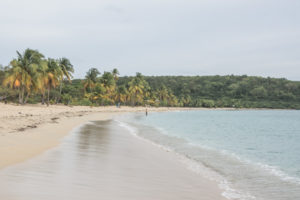 If you want to escape the mainland of Puerto Rico and enjoy some rest on calm and wild beaches, meet wild horses, do kayaking in the brightest bioluminescent bay in the world, then you may find your happiness on Vieques Island! Here are some practical and beach tips.