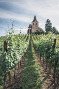 Během loňského výletu spojeného s degustací vína jsme měli možnost objevit kouzelné Alsasko. Zde je trocha inspirace, pokud hledáte tipy, co tu navštívit.