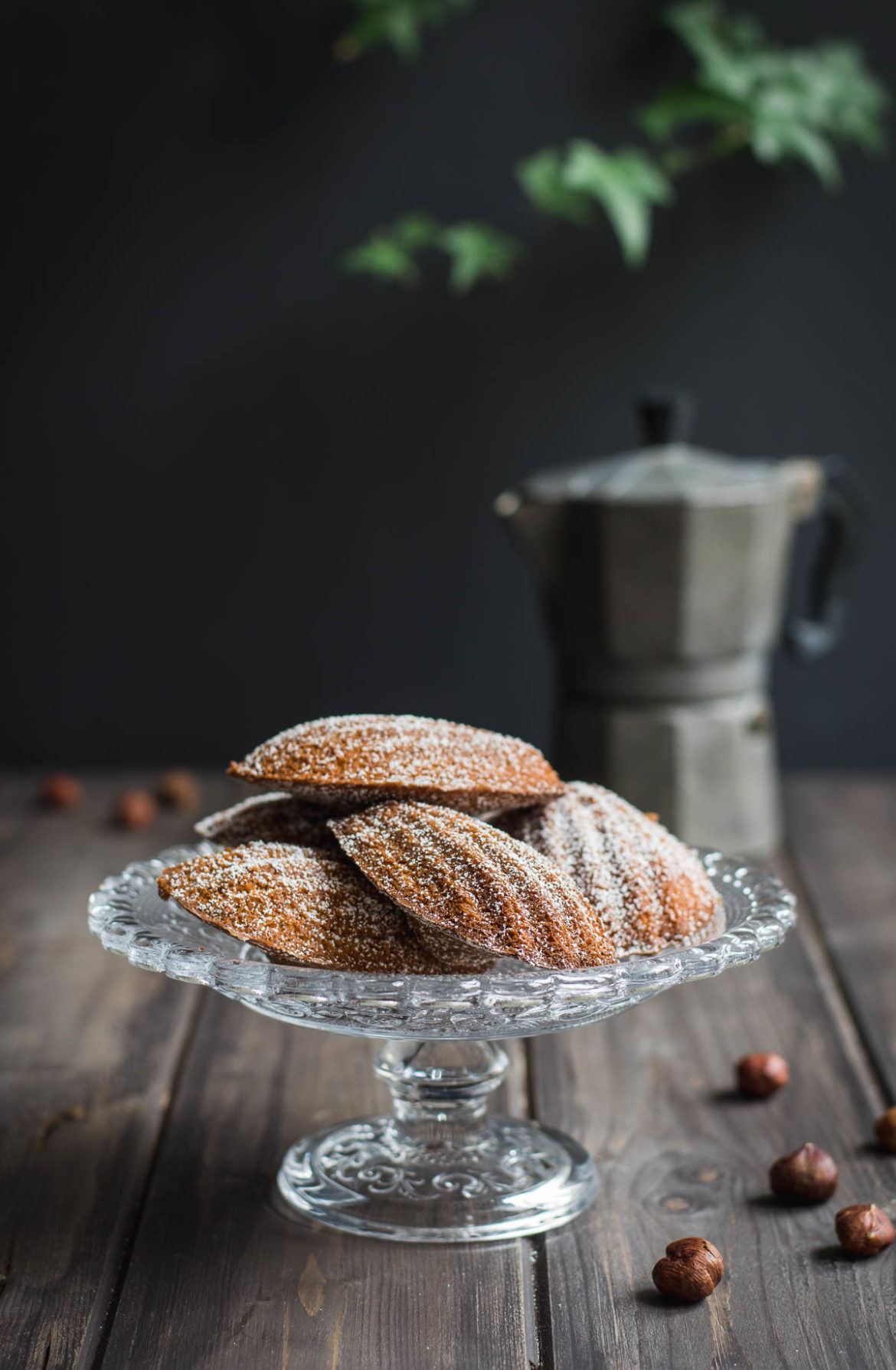Čokoládovo-oříškové madlenky jsou krásně vláčné a měkounké francouzské čajové koláčky provoněné čokoládou a lískovými oříšky.
