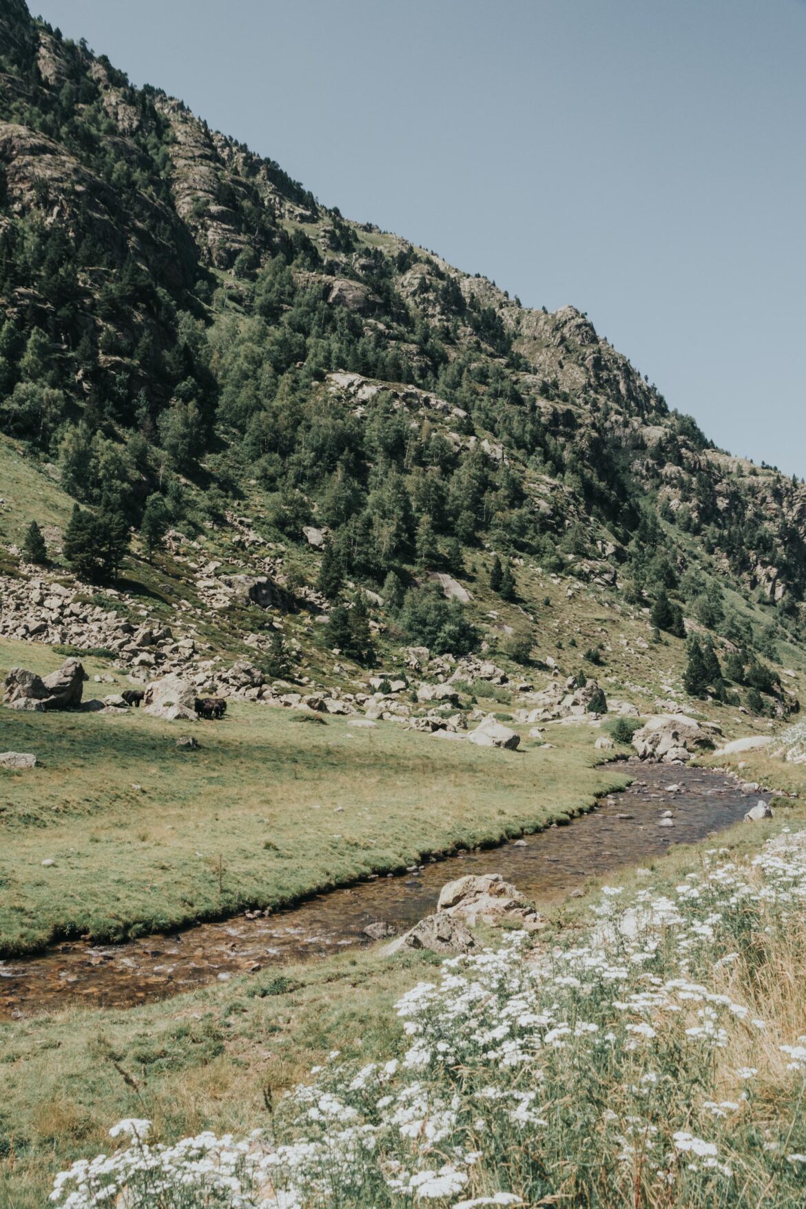 Jak jsme si udělali výlet do krásného údolí Aston v Pyrenejích a strávili tak bezva odpoledne výšlapem k jezerům Fontargente.